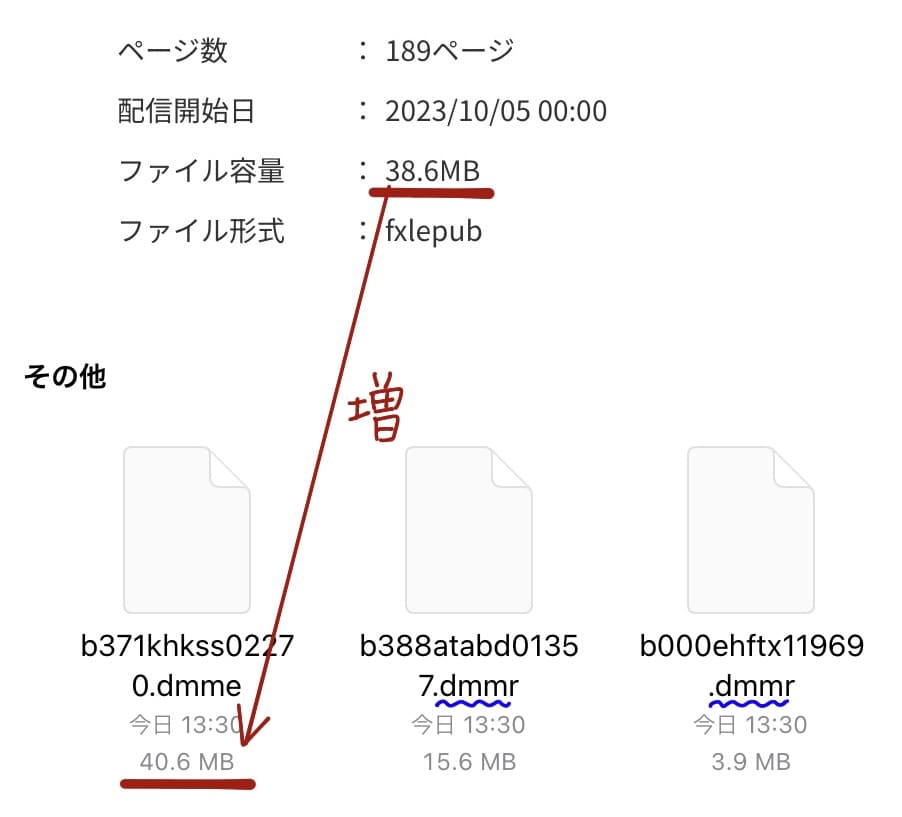 サイトに記載されていた容量：38.6MB。
ファイル内のデータ容量：40.6MB。